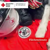 Einsatzkräfteausstattung der Rettungshunde mit Helm Einsatzschuhe und Handschuhe