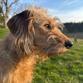 Cäthe profilbild 