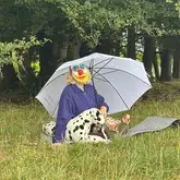 Person mit Maske Schirm und Stoffhund sitzt auf einer Wiese