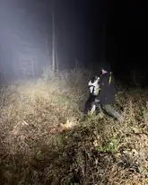 Rettungshund springt im Wald seinen Hundeführer an als Anzeige eines Funds