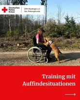 Hund mit Kenndecke begrüßt eine Frau im Rollstuhl im Wald
