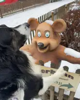 Rettungshund vor einem Spielzeugbär in einem Vergnügungspark