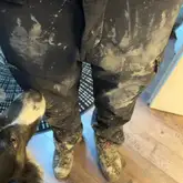 Hund schnüffelt an total verdreckter Hose