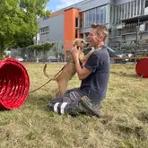 Hund bei Vorführung neben Hundetunnel springt Frauchen an