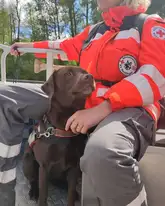 Suchhund Cinna mit ihrer Hundeführerin des DRK Reutlingen auf der Schwäbischen Alb auf einem Boot