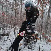 Hund mit Kenndecke springt zu Person auf Baumstumpf im Schnee im Wald