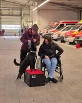 Hund steht mit Vorderpfoten auf Box neben einer Person im Rollstuhl