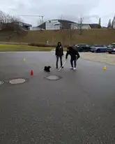 Auf einer Parkfläche läuft ein Mensch mit Krücken und ein Hund liegt in einem Abstand davor
