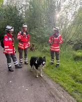 Einsatzkräfte der Schwäbischen alb Rettungshunde mit ihrem Suchhund auf einem Weg