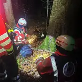 Einsatzkräfte sitzen im Wald mit Einsatzhund
