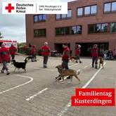 mehrere Rettungshundeteams auf einem Platz bei einer Vorführung im Gehorsam