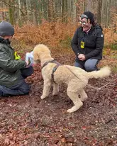 Rettungshund im Wald wird gefüttert, Hundeführer mit Faschingsmaske