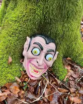 Faschingsmaske liegt im Wald an einem Baum mit Moos