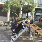 Hund läuft bei Vorführung die Treppe von einem Gerät runter