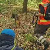 Mantrailteam trailt durch den Wald