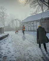 Mantrailerteam im Winter in einem Vergnügungspark, Achterbahn im Hintergrund