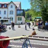 Platz mit einer Gruppe Mensch Hunde Teams die Gerade im Kreis Gehorsam machen