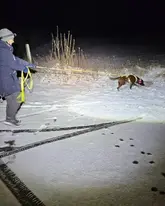 Mantrailerteam im Schnee