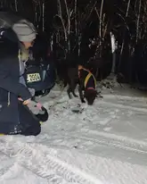 Mantrailerteam im Schnee