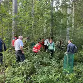 Gruppe an Personen läuft durch den Wald bei der Suche nach einem Handy