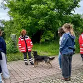 DRK Rettungshundeführer steht mit ihrem Rettungshund Australian Shepherd mit ein paar Kindern auf Pflasterstein