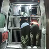 zwei Personen hängen mit dem Oberkörper in den Hundeboxen in einem DRK Einsatzfahrzeug der Rettungshunde