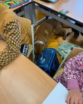 Hund schläft in einem Klassenzimmer bei einer Schulungseinheit