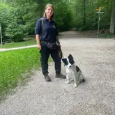 Mensch hunde team auf einem Waldweg