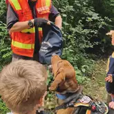 Mantrail Bloodhound wartet vor ihrer Hundeführerin auf den Geruchsartikel