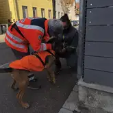 Einsatzkraft der Rettungshunde mit Mantrail Hund bei einer Versteckten Person nach einer erfolgreichen Suche