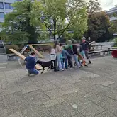 Hund läuft bei Vorführung durch die Beine mehrerer Kinder
