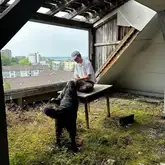 Hund findet Menschen in einer Ruine auf einem Tisch sitzend