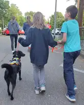 Kinder mit einem hund mit Kenndecke und Mantrail Geschirr