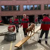 Hund läuft bei einer Vorführung mit seiner Rettungshundeführerin die Wippe
