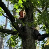 Frau sitzt im Baum