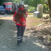 Rettungshundeführer in kompletter persönlicher schutzausrüstung trägt den Suchhund auf einem Schotterweg