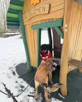 Rettungshund Niki wird an der Versteckperson in einem Vergnügungspark in einem Spielhaus bestätigt mit Futter
