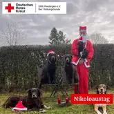 Person im Nikolaus Anzug mit 4 Hunden im Garten