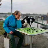 Frau spielt mit Hund Mühle am Fluss