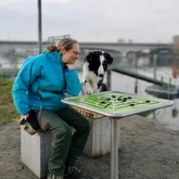 Frau spielt mit Hund Mühle am Fluss