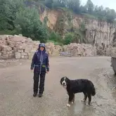 Rettungshundeteam bei Regen in einem Natursteinpark