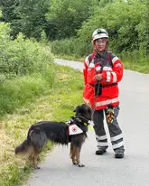 Rettungshundeteam während der Suche mit vollständiger PSA