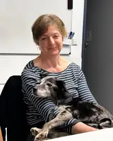 Hund schläft in den Armen des hundeführers