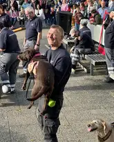 Auf einem Platz bei einer Vorführung, DRK Einsatzkraft trägt seinen Suchhund Labrador
