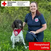 Therapiehund Ludwig, ein kleiner Münsterländer, und seine Hundeführerin sitzen beim shooting in einer Wiese