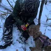 Junger Hund im Wald im Schnee wird gefüttert