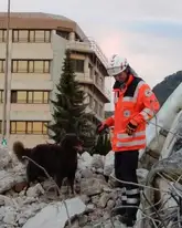 Rettungshundeteam in den Trümmern bei der Suche nach Versteckperrson im training