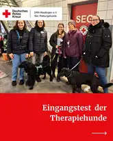 Titelbild zu einem Test bei den Therapiehunden mit mehreren Menschen und Hunden in einer Fahrzeughalle