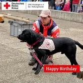Einsatzkraft des DRK der Rettungshunde mit seinem Labrador Suchhund.