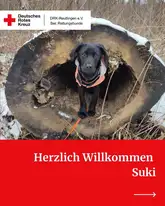 Welpe steht in einem Ausgehöhlten Baumstumpf